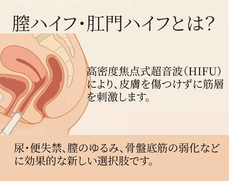 膣ハイフ・肛門ハイフ