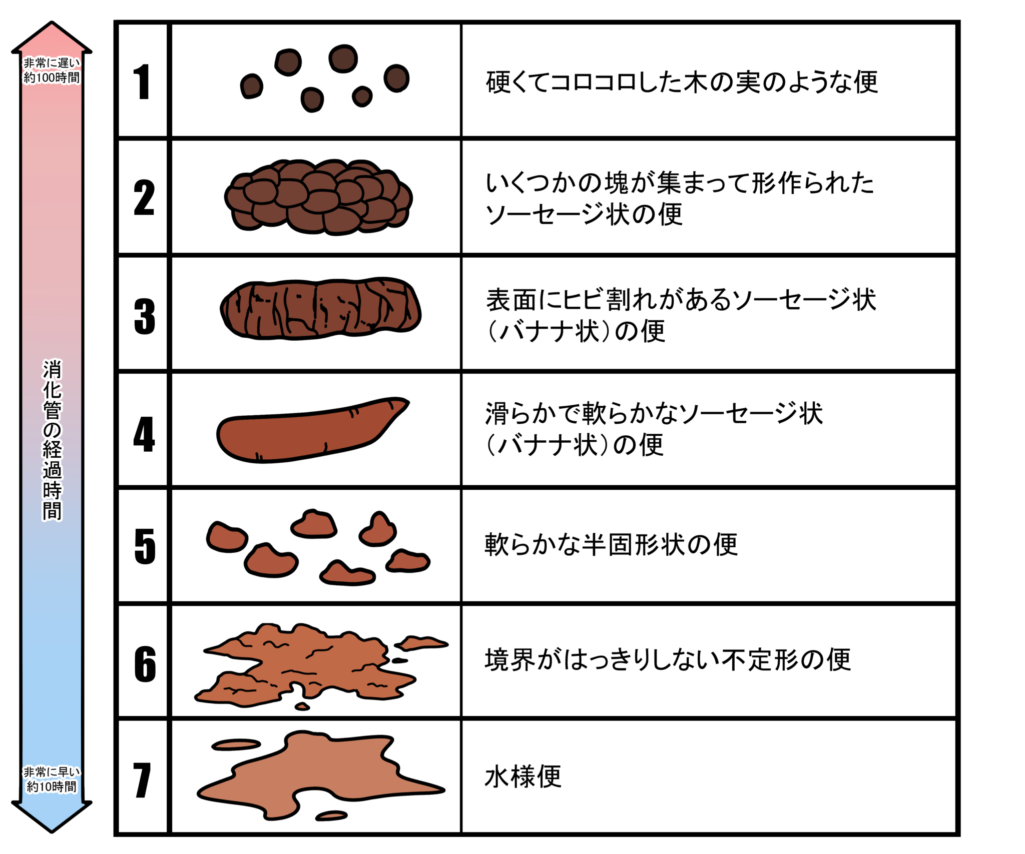 “便通美人”には肌荒れが少ない?便秘の種類や検査、受診するときの注意点 - 国立消化器・内視鏡クリニック